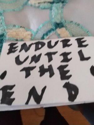 cover image of Endure Until the End